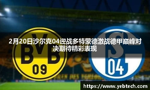 2月20日沙尔克04迎战多特蒙德激战德甲巅峰对决期待精彩表现